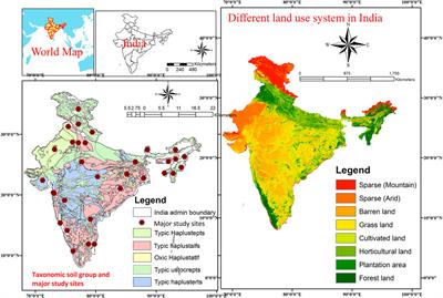 Impact of Land-Use Changes on Soil Properties and Carbon Pools in India: A Meta-analysis